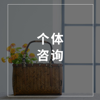 个体咨询