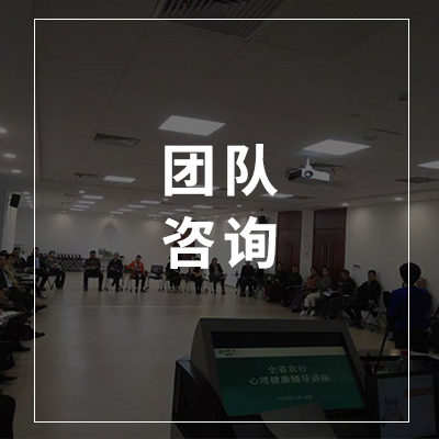 团体咨询